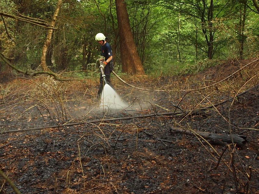 Waldbrand Bergisch Gladbach Bensberg P054.JPG